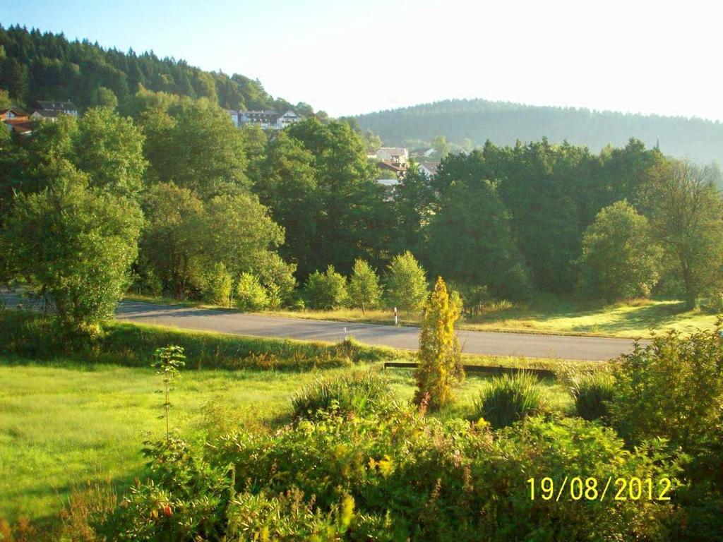 Zum Fliegenden Hollander Guest House Zwiesel Exterior photo